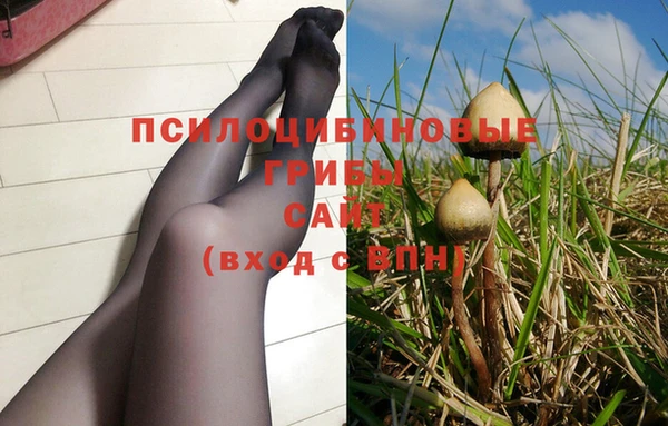 молекула духа Алзамай