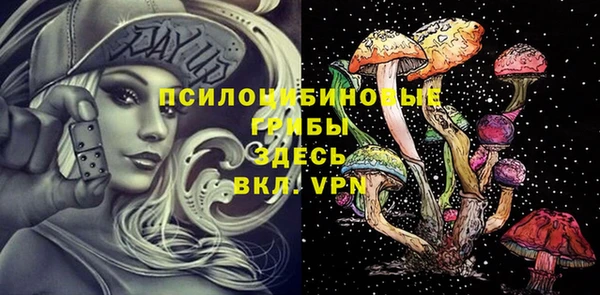меф Алексин
